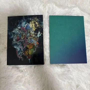 RADWIMPS x 죄와 벌 최초 한정 앨범