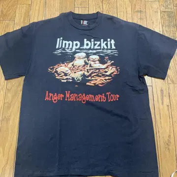 Limp Bizkit Anger Management Tour 티셔츠