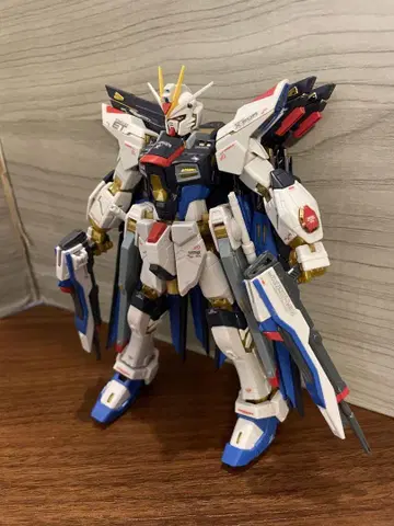 rg 스트라이크 프리덤 정크 완성품