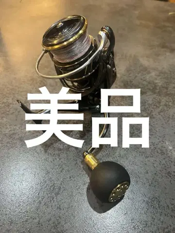 다이와 22 카르디아 SW 4000 CXH RCS 커스텀