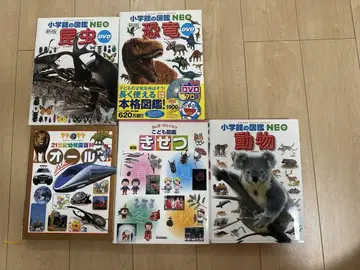 초등학교 도감 NEO 세트 DVD 곤충 계절 유치원 백과 공룡 5권 세트