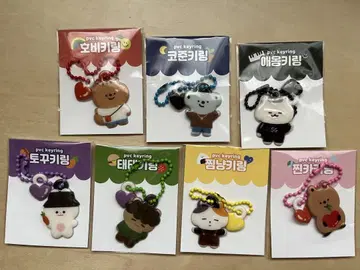 BTS pvc 키링