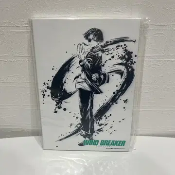 windbreaker 윈드브레이커 소방준비 로프트 캔버스 보드