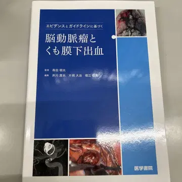 근거와 가이드라인에 기반한 뇌동맥류 및 지주막하 출혈