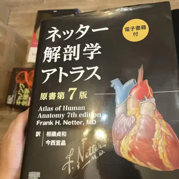 네터 해부학 아틀라스 [전자책 포함] (원서 제7판)