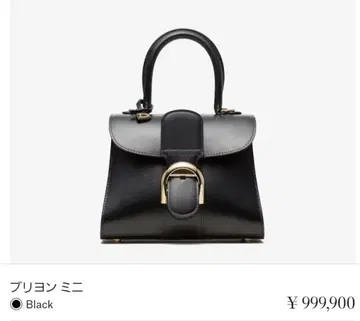 새상품급 DELVAUX 델보 Brillant Mini 브리옹