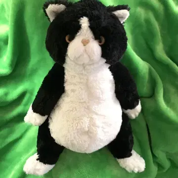 무릎 고양이 앉은 하치와레