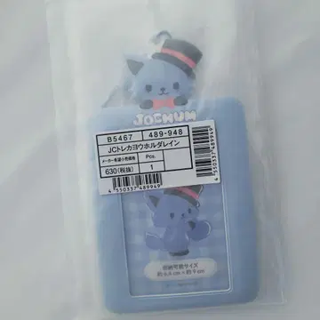 JOCHUM 레인 트레이딩 카드 홀더