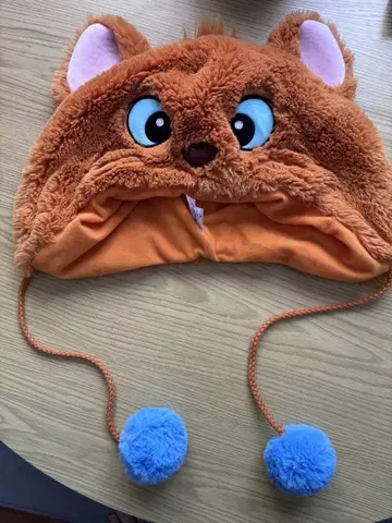 디즈니 리조트 루즈 팬 캡