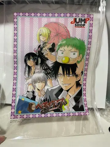 벨제바브 지퍼 케이스