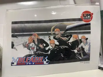 BLEACH 지퍼 케이스 쿠로사키 이치고