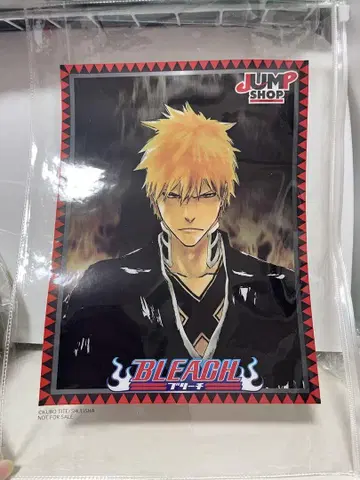 BLEACH 지퍼 케이스 쿠로사키 이치고