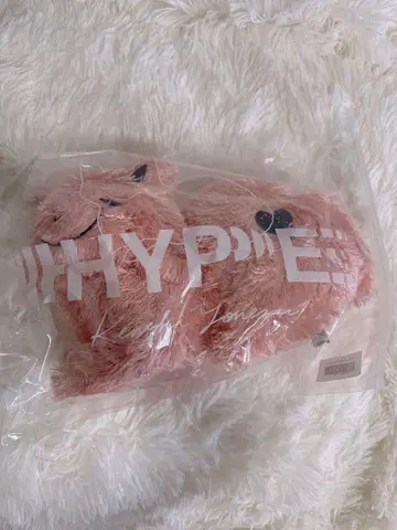 리이슈 고양이