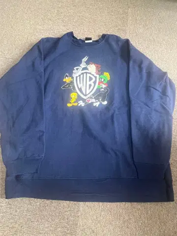 Warner Bros. Looney Tunes 트레이닝복