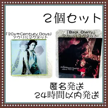 AcidBlackCherry 아크릴 마그넷 블랙 체리 굿즈