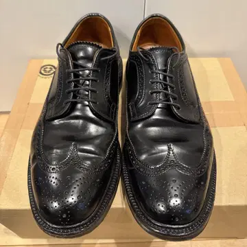 알든 9751 9D 코도반 블랙