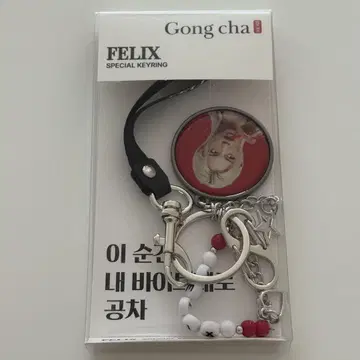 straykids 필릭스 공차 키링