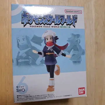 포켓몬 스케일 월드 비취 지방 쇼