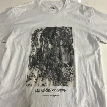 THE NORTH FACE 그래픽 T셔츠 XL