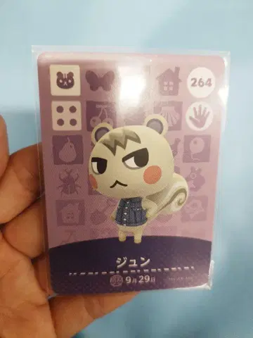 모여봐요 동물의 숲 amiibo 카드 준