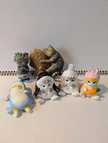 고양이 가챠가챠 세트