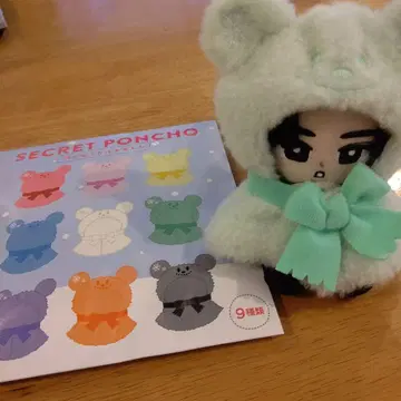 SECRET PONCHO 민트 그린