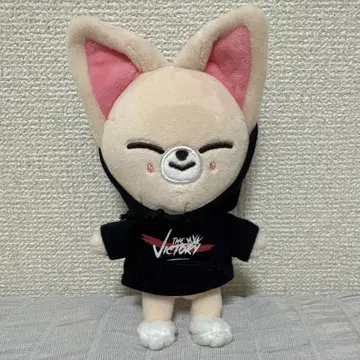 스트레이 키즈 스키즈 straykids 폭시니 SKZOO 아이엔
