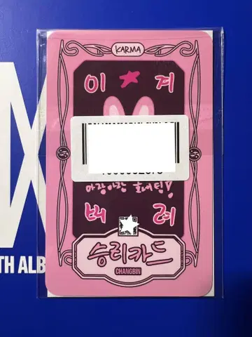 straykids KARMA 창빈 FANS 리얼 터치 QR 트레이딩 카드