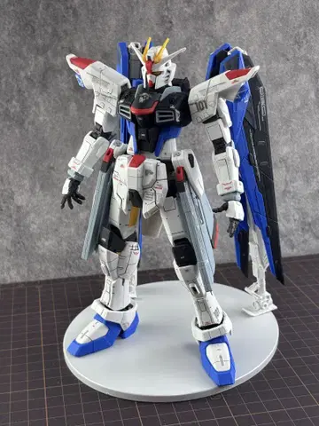 FULL MECHANICS 프리덤 건담 Ver.GCP 정크