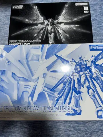 RG 1/144 스트라이크 프리덤 건담 티타늄 천공의 날개 세트