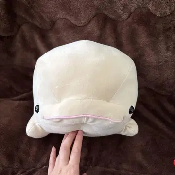 크림색 화이트 돌고래 봉제 인형