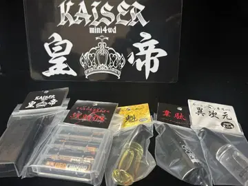 KAISER 파워 세트 모니터 모집 가격 세트.