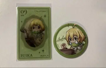 Dr.STONE 닥터 스톤 LOFT