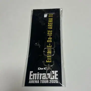 Da-ICE의 2025년 아레나 투어 넥스트랩