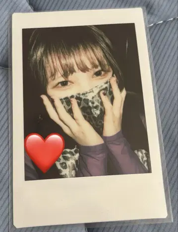 ASP 모그 라이언 폴라로이드 12