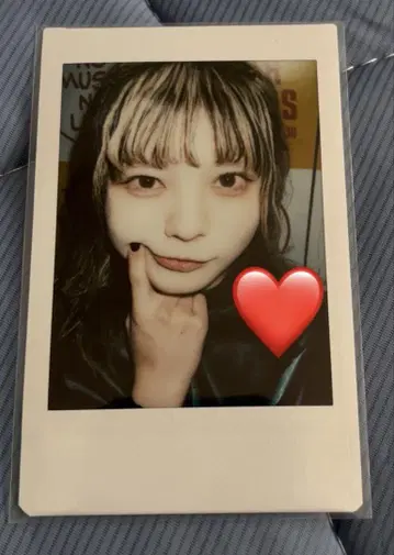 ASP 모그 라이언 폴라로이드 15