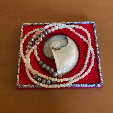 오목 조개 목걸이