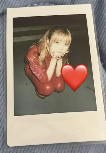 ASP 모그 라이언 폴라로이드 19