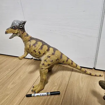 페이버릿 파키케팔로사우루스