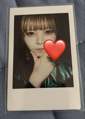 ASP 모그 라이언 폴라로이드 21