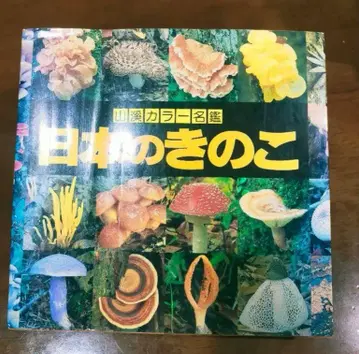 일본의 버섯 이마세키 로쿠야 외 2명 일본의 버섯 (산계 컬러 명감)
