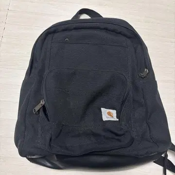 Carhartt 블랙 럭색