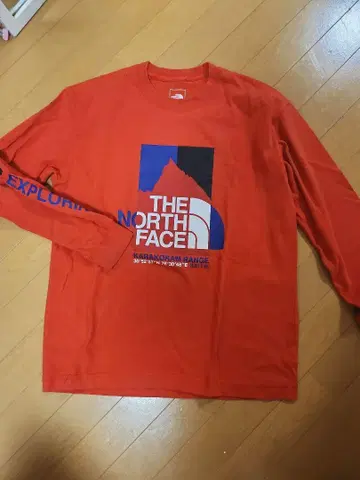 THE NORTH FACE 롱 슬리브 티셔츠 오렌지