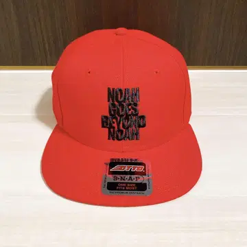 프로레슬링 노아 NOAH GOES BEYOND NOAH 로고 캡