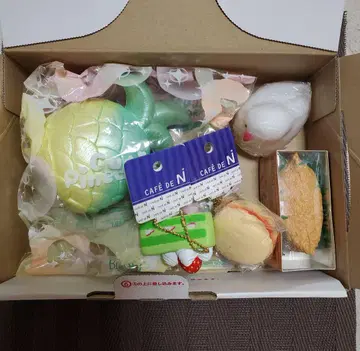 스퀴즈 묶음 판매