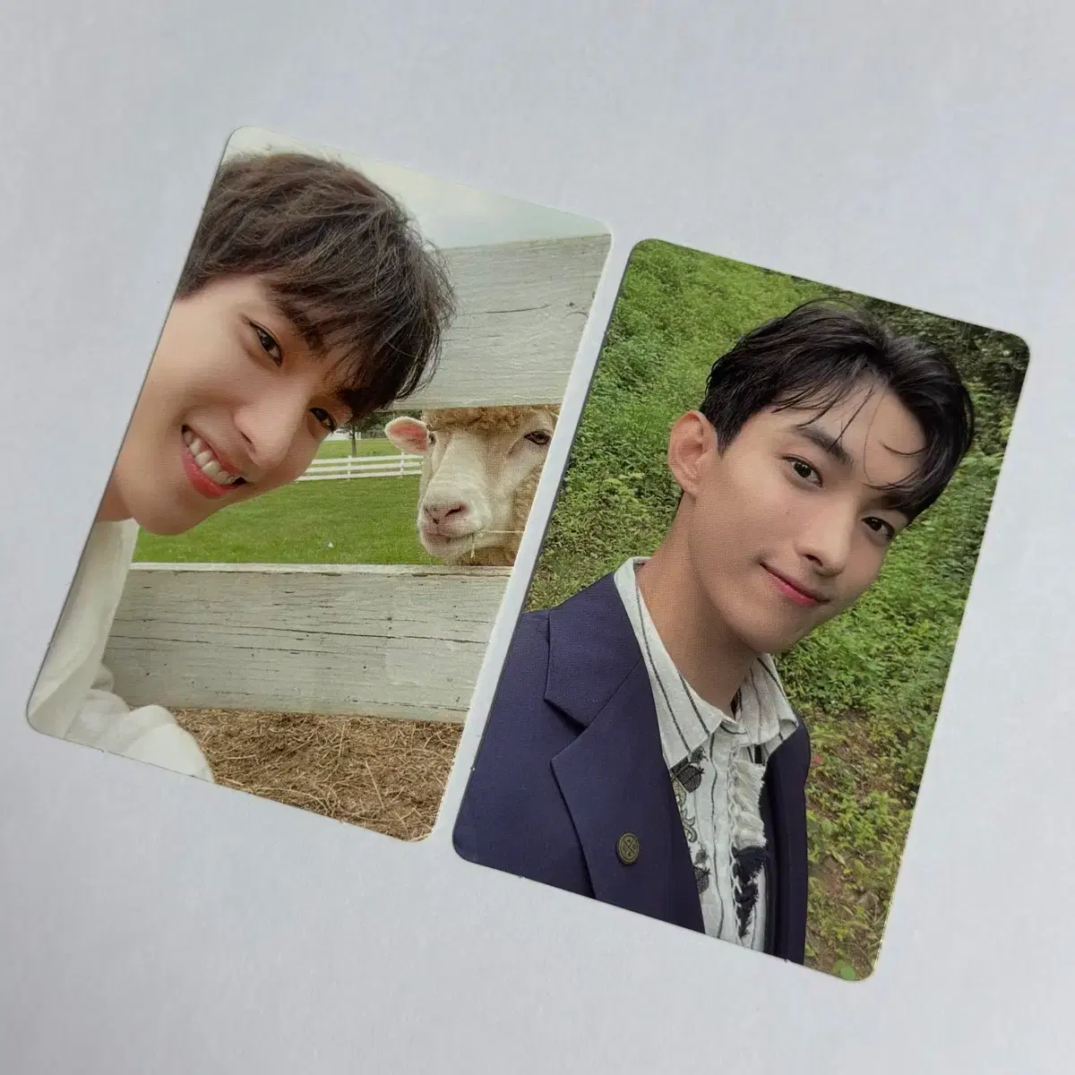 Seventeen Social Club Dacarpo Alpine dk poca