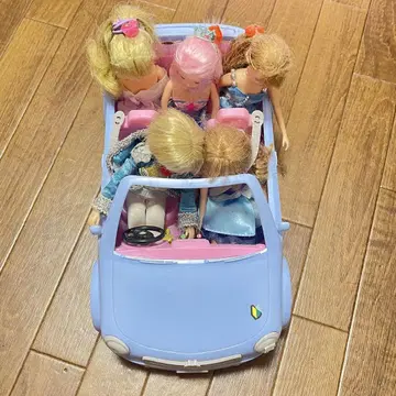 리카짱 패밀리카 인형 포함