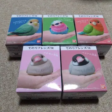 테노리 프렌즈 1R 5개 세트