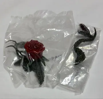 비올란테