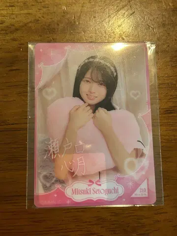 세토구치 신게츠 모바카